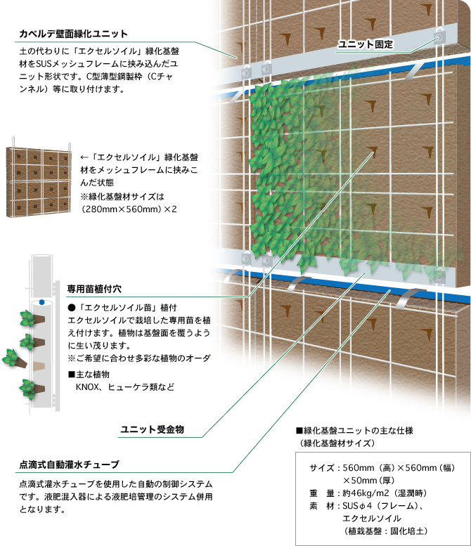 ユニット型壁面緑化システム　Ｃaverde™  〜カベルデ完成品〜